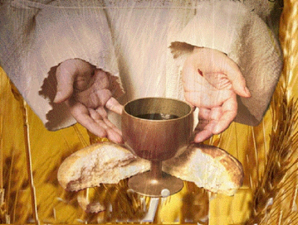 U i&scaron;čekivanju prve svete pričesti